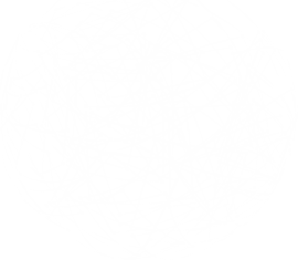 Shape 1