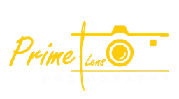 prime-lems.png